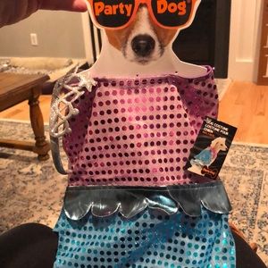 Party DOG costume-  Princess doggie.    Size:  Med/large.  New with tags